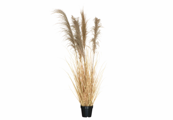 4Living Grass with pot 147 cm