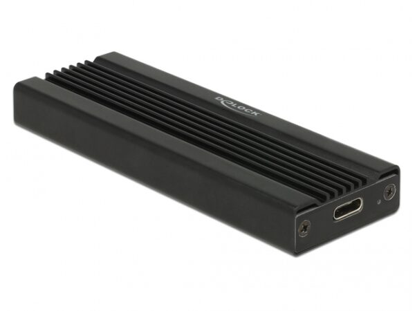 Delock - Kryt �lo�i�t� - M.2 Card - USB 3.1 (Gen 2) - �ern� - Image 2