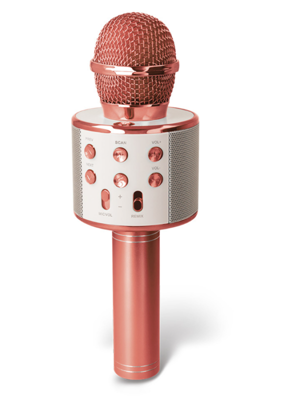 Forever BMS-300 Bluetooth microphone with speaker - Image 2