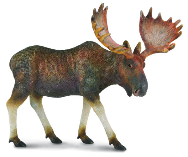 COLLECTA (L) Moose 88335