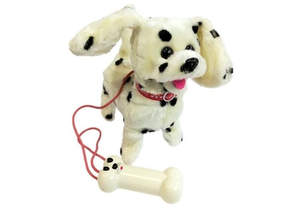 Dalmatian Dog Leash Controlled Pilot Bone - Image 2