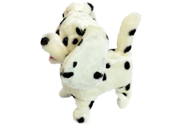 Dalmatian Dog Leash Controlled Pilot Bone - Image 3