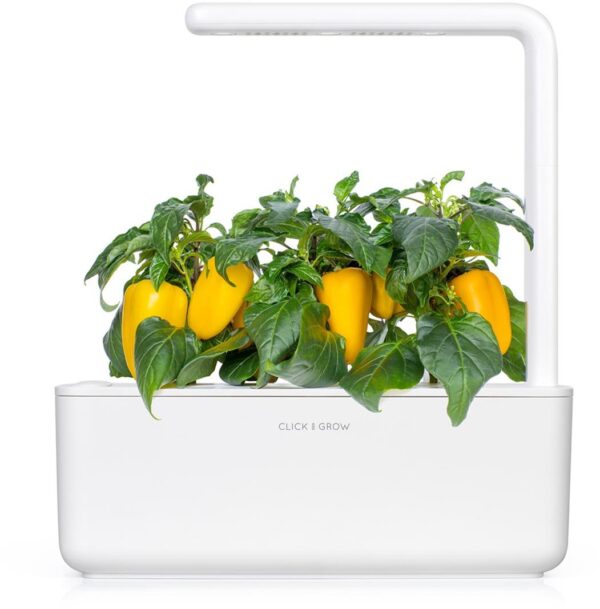 Taimekapsel Click & Grow Plant pod 3-pack, magus kollane pipar - Image 2