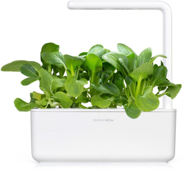 Taimekapsel Click & Grow Plant pod 3-pack, pak choi - Image 3