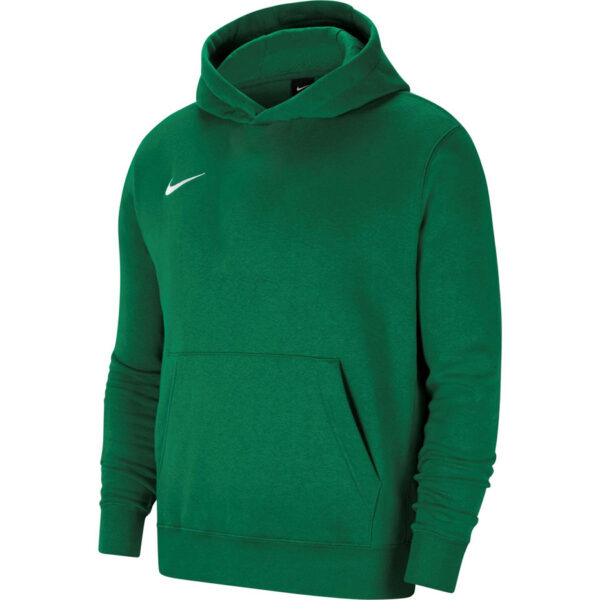 Nike Park 20 Fleece Pullover Hoodie green CW6896 302