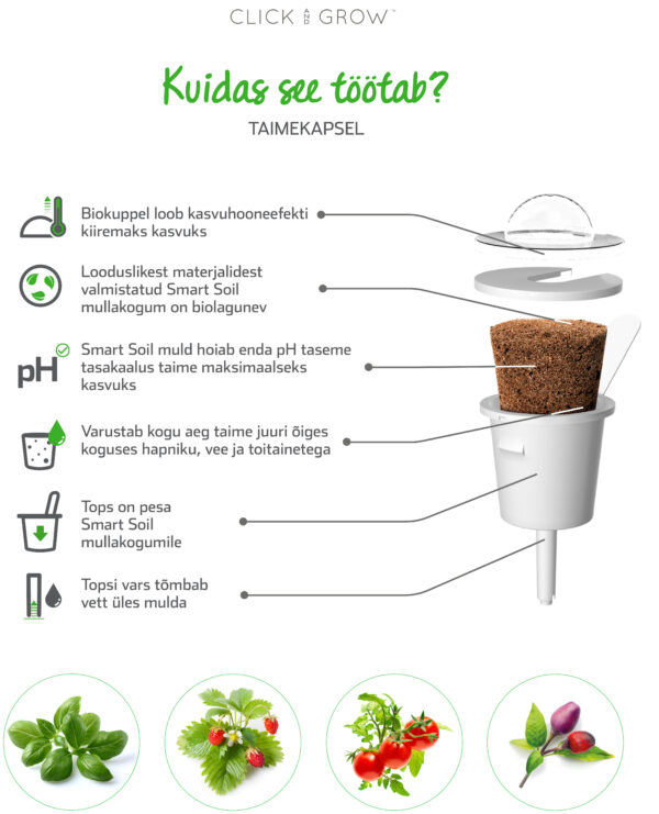 Taimekapsel Click & Grow Plant pod 3-pack, kääbus basiilik - Image 3