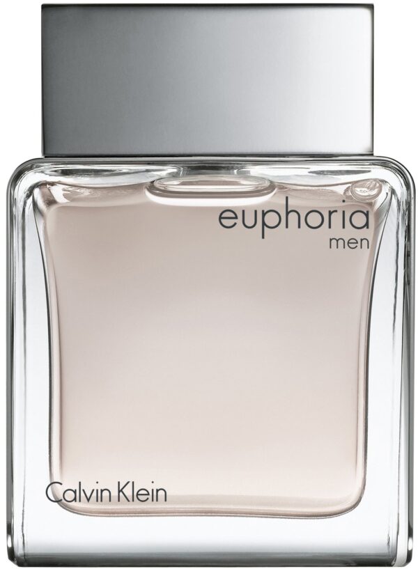 Euphoria (Eau de Toilette, M,100 ml)