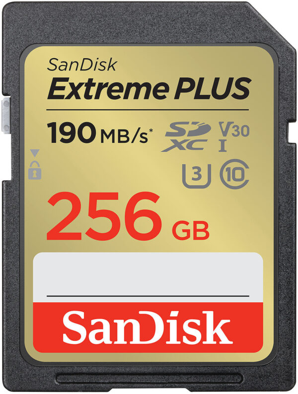 Mälukaart SANDISK SDXC 256GB