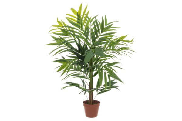 4Living Kentia palm tree 107 cm