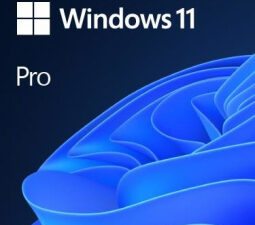Windows 11 Professional 64Bit English Intl 1pk DSP OEI DVD