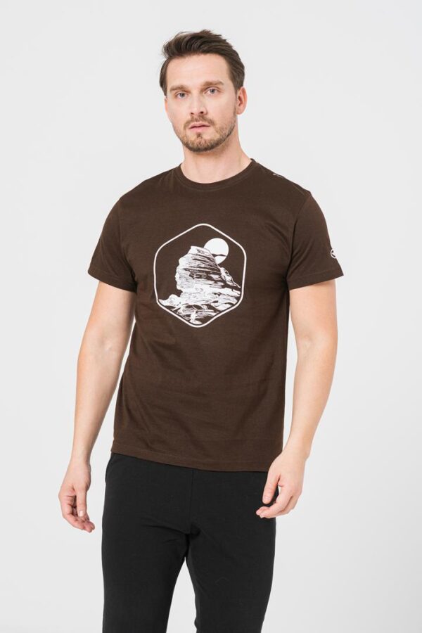 TRICOU CASUAL SFINX BARBATI COFFEE-XXL - Image 2