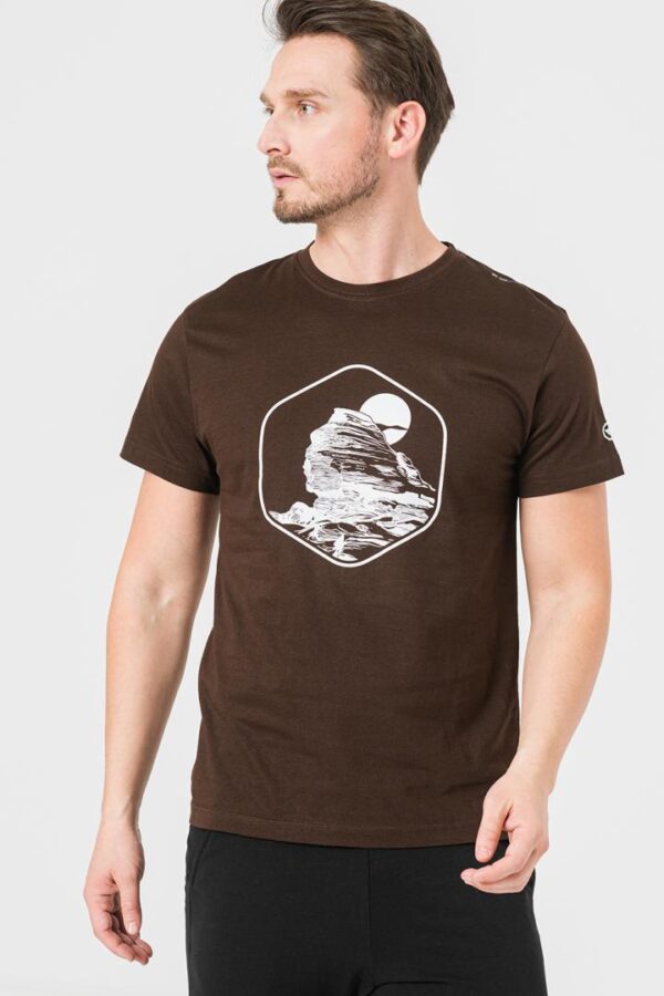 TRICOU CASUAL SFINX BARBATI COFFEE-XXL - Image 5