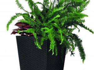 Puķu pods Rattan Planter S 23,6L pelēks