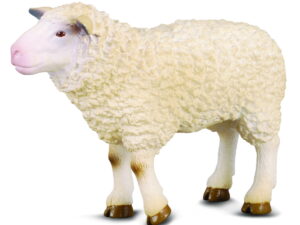 COLLECTA (M) Sheep 88008