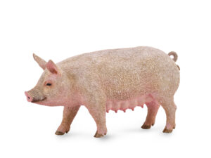 COLLECTA sow (M), 88863