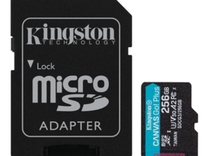 Karta pamięci microSD 256GB Canvas Go Plus 170/90MB/s Adapter