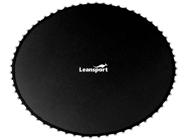 LEAN Sport Max 10ft trampoline mat - Image 2