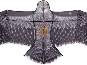 STUNT DRAGONFLY 51WL Kite Eagle Black/Anthracite