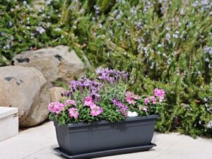 Plant pot Birka 60 x 17 x h16cm, ash