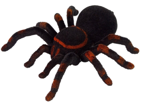 Remote Controlled Tarantula Black R/C Spider - Image 2