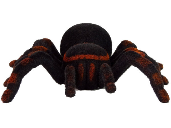 Remote Controlled Tarantula Black R/C Spider - Image 3