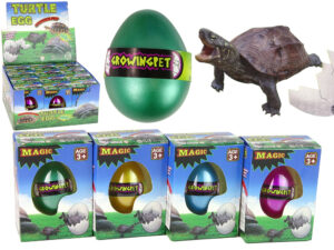 Hatching Magic Turtle Egg Growing 6 cm.