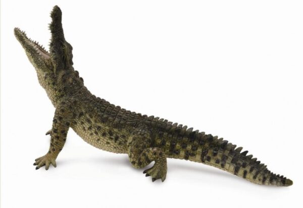 COLLECTA Nile Crocodile XL, 88725