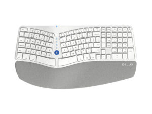 Wireless Ergonomic Keyboard Delux GM901D BT+2.4G (white)