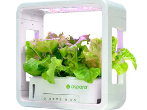 SmartPot aspara by GrowGreen Stylist Lite Smart Grower