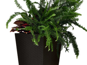 Puķu pods Rattan Planter M 55,4L brūns