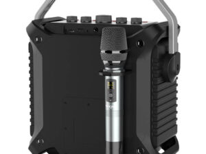 Wireless Bluetooth Speaker W-KING K3H 100W + microphone (black)