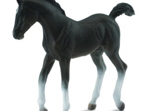 COLLECTA (M) Tennessee Walking Horse Foal Black 88452