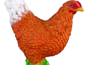 COLLECTA (S) Hen 88005