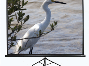 Elite Screens | Tripod Series | T120NWV1 | Diagonal 120 " | 4:3 | Viewable screen width (W) 244 cm | White