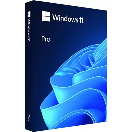 Microsoft® Windows 11 Pro FPP 64-bit English Intl. USB 1 License