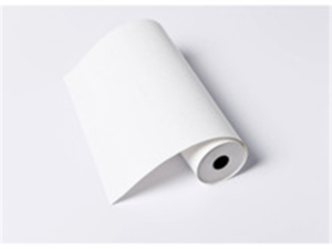 PAR411 A4 THERMAL PAPER ROLL