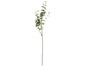 4Living Eucalyptus branch 92 cm