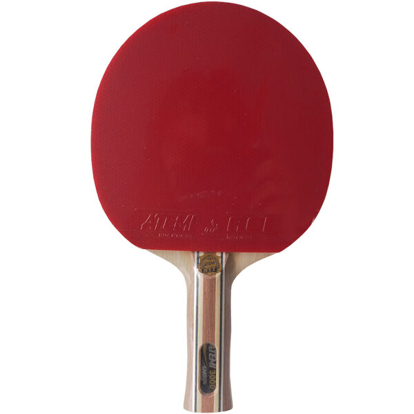 New Atemi 3000 Pro concave ping pong racket - Image 2