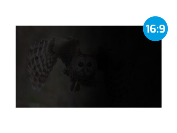 NATEC Owl Frameless display privacy filter 60.5 cm (23.8") - Image 3