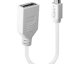 ADAPTER MINI DP TO DP/0.2M 41021 LINDY