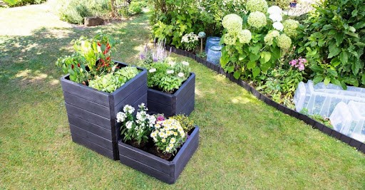 ERGO Quadro raised bed 60 x 60cm S - Image 2