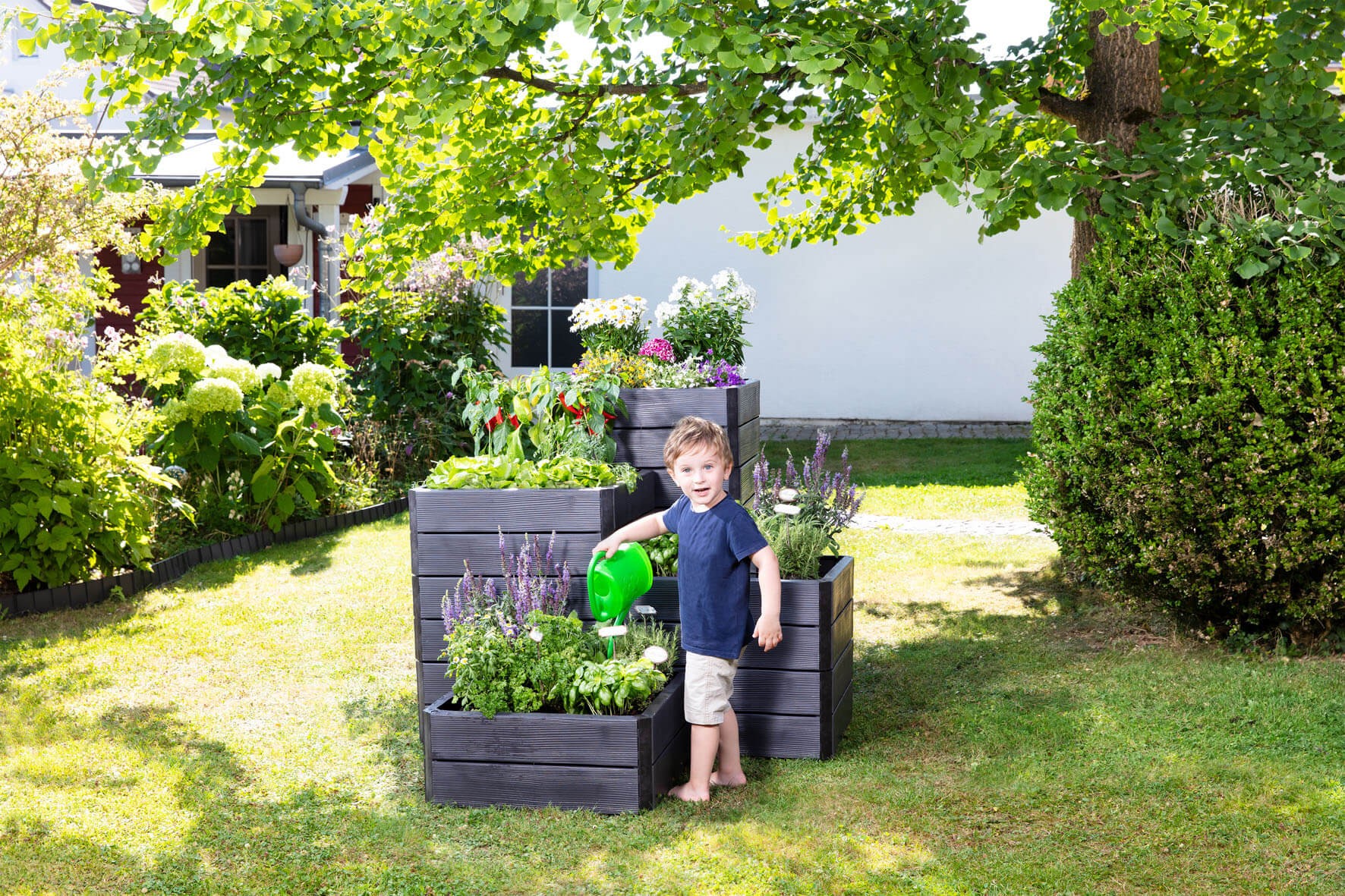 ERGO Quadro raised bed 80 x 60cm M - Image 2