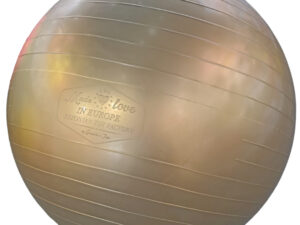 Gerardo's Toys Fitness pall