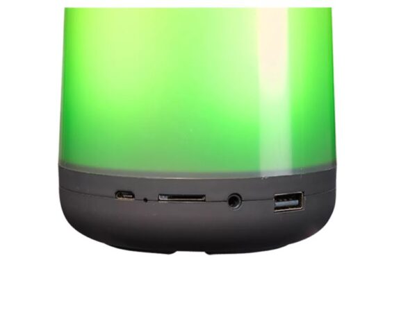Denver BTL-311 portable/party speaker Mono portable speaker Multicolour 5 W