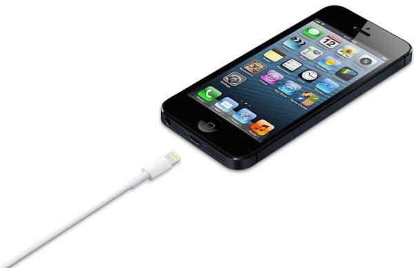 Apple Lightning to USB Cable (0,5m) - Image 4