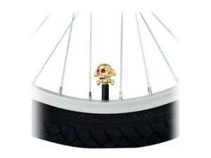 CAPAC VALVA CRANIU CRUCE CSA-V21 2B AUR