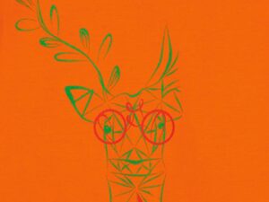 TRICOU  CERB FAMILIE COPII ORANGE-6