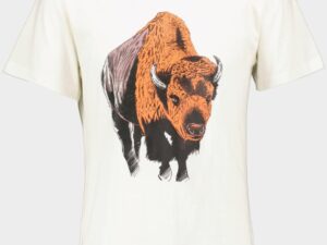 TRICOU ZIMBRU