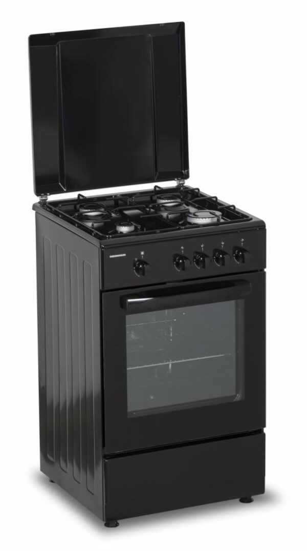 ARAGAZ GAZ HEINNER HFSC-SME50BK - Image 5