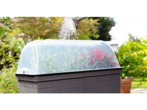 Urban cloche cover